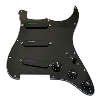 Lace Rainbow pickguard (Emerald/RWRP Silver/Purple) available in black or white.