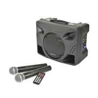 <p>50 watt portable PA system with built-in wireless mic system, 2 mics, reverb, and more.</p><p>Great for buskers.</p>