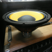 <p>Brand new 10" Markbass speaker. &nbsp;Made by B&amp;C.</p><p>2 available.</p>