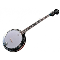 <p>Stunning 5-string banjo with solid maple body, mahogany neck, floral inlays, 24 brackets, and Remo head.</p><p>RRP: &pound;699</p>