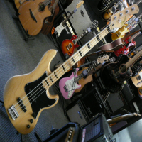 Quality jazz bass with ash body, noiseless jazz pickups, and hard maple neck.