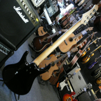The MTD Z Series of basses is one of MTD's most popular lines. The series was created for the discerning player that wants the great MTD sound coupled with exceptional beauty. As with all the other Kingston basses, it incorporates many of the superior design elements found on Mike Tobias&rsquo; revered American series instruments. It also captures the look of a handmade, boutique-style bass. Carefully constructed using a high quality Mahogany core and beautifully adorned with a Burled Maple top, the Z basses marry beauty with unparalleled performance.