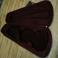 <p>Hard Foam case for 15'' viola.</p><p>Good condition.</p>