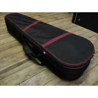 <p>Hard Foam case for 15'' viola.</p><p>Good condition.</p>