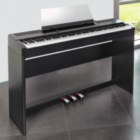 <p>88-key digital piano with built-in speakers.</p><p>Attractive modern looks and a host of features.</p><p>Over 90 sounds, including Grand Pianos, Electric Pianos, Organs, Brass, Strings, Synths, Guitars and Basses.</p><p>Split and Layer modes.</p><p>USB connectivity for use as a midi controller with computer software.</p><p>Bluetooth playback allows you to stream audio to the internal speakers and play along.</p><p><br /></p>