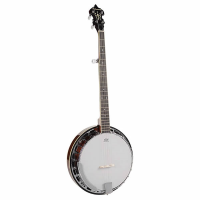 Good quality 5-string banjo with closed back, arm rest, bone nut, ivoroid binding, and more.