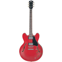 <p>High quality 335 guitar at a great price.&nbsp; Includes hard case.</p><p>NEW RRP: &pound;924.99!</p>