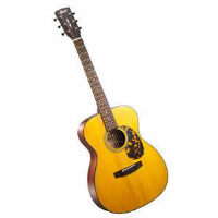 Quality OM (orchestra size) acoustic guitar with solid top &amp; back.&nbsp; This beauty also features Grover tuners, bone nut &amp; saddle, tortoiseshell binding, and general awesomeness all round!