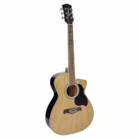 Decent entry-level electro-acoustic guitar.&nbsp; Perfect for beginners.