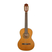 Lovely 3/4 size classical.&nbsp; Great beginner guitar.