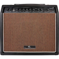 Decent 30 watt acoustic amplifier with mic and instrument channels.
