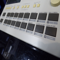<p>Although this is the baby of the legendary TR rhythm composers, this unit still packs a punch!</p><p>Great 80s drum samples.</p><p>Intuitive XOX style grid sequencing.</p><p>Very good condition, with power supply.</p><p><br /></p>