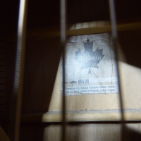 <p>Lovely dreadnought acoustic guitar, hand-crafted in Canada.</p><p>Condition: A few marks here and there, small dents on the back of the neck.</p>