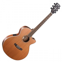 Electro-Acoustic