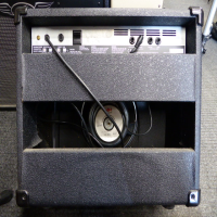 Compact 30 watt guitar amp in excellent condition.