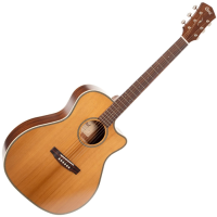 Lovely grand auditorium electro-acoustic with a beautiful semi-gloss finish, Fishman system, torrefied solid top for aged tone, and more!