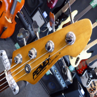 <p>Entry-level single pickup bass guitar with great tone and playability.</p><p>Condition: A feew small marks here and there, otherwise fine.</p>