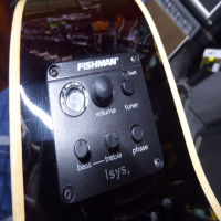 Top quality electro-acoustic at an affordable price.