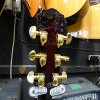Top quality electro-acoustic at an affordable price.