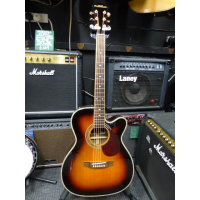 Top quality electro-acoustic at an affordable price.