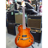 <p>Very playable hybrid guitar with both acoustic and electric pickups.</p><p>Condition: The built-in tuner doesn't work (we can throw a free clip-on headstock tuner in), and a few tiny marks, otherwise excellent.</p>
