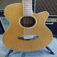 <p>Affordable electro-acoustic guitar with solid cedar top, Rosewood fingerboard, and Fishman system.</p><p>Great condition.</p>