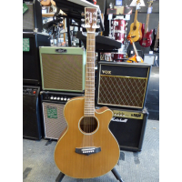 <p>Affordable electro-acoustic guitar with solid cedar top, Rosewood fingerboard, and Fishman system.</p><p>Great condition.</p>