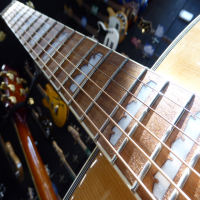 Awesome jumbo acoustic guitar in great condition with original Tokai padded bag.