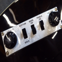Affordable violin bass in transparent black.&nbsp; Excellent condition.