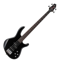 <p>Stunning lightweight bass with active circuit, hybrid pickup configuration, gloss black finish, and more!</p>