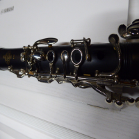 <p>The Buffet B10 is a quality European-made student clarinet.&nbsp;</p><p>Brushed ABS construction.</p><p>Quality silverplated keywork, designed for greater stability and to ensure all the pads seat perfectly over the holes.&nbsp;<br /><br /><br /></p>