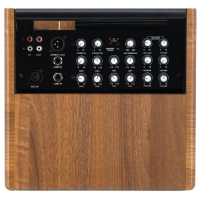 Superb 90 watt acoustic instrument amplifier.