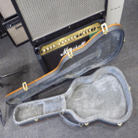 <p>Thin-bodied electro-acoustic in mint condition with hard case.</p><p>APX600 street price: &pound;299</p><p>APX hard case street price: &pound;115</p>