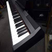 Lovely 88 key graded hammer-action piano featuring a slim, portable design.&nbsp;<br /><br />Experienced pianists and beginners alike can enjoy satisfying playing.<br /><br />Graded Hammer Standard (GHS) keyboard. The feel of the keyboard gradually changes according to the register, so that it feels heavier when playing bass parts and lighter when playing treble parts. The keyboard also features matte finish black keys for an authentic piano experience.<br /><br />Yamaha's "Pure CF sound engine," featuring a piano sound recorded from Yamaha's renowned CFIIIS concert grand piano, heard on stages all over the world. In addition to the advanced piano sound, the improved damper resonance function recreates the reverberation of a grand piano, allowing for a finer level of nuanced expression.<br /><br /><br />