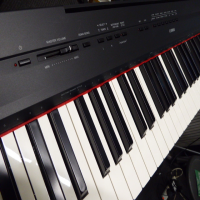 Lovely 88 key graded hammer-action piano featuring a slim, portable design.&nbsp;<br /><br />Experienced pianists and beginners alike can enjoy satisfying playing.<br /><br />Graded Hammer Standard (GHS) keyboard. The feel of the keyboard gradually changes according to the register, so that it feels heavier when playing bass parts and lighter when playing treble parts. The keyboard also features matte finish black keys for an authentic piano experience.<br /><br />Yamaha's "Pure CF sound engine," featuring a piano sound recorded from Yamaha's renowned CFIIIS concert grand piano, heard on stages all over the world. In addition to the advanced piano sound, the improved damper resonance function recreates the reverberation of a grand piano, allowing for a finer level of nuanced expression.<br /><br /><br />