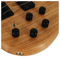 <p>Lovely active bass with ash body, Markbass preamp, 24 frets, and more!</p>