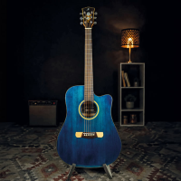 <p>Gorgeous-looking electro-acoustic with great tone and playability!</p>