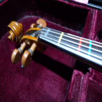 <p>Violin made completely from solid European tonewoods</p><p>Solid European spruce top</p><p>Back and sides made of solid European maple</p><p>Fingerboard: Ebony</p><p>Ebony pegs</p><p>Fitted with Thomastik-Infeld Dominant strings.</p><p>Ebony chin rest</p><p>Inlaid purfling</p><p><br /></p>