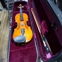 <p>Violin made completely from solid European tonewoods</p><p>Solid European spruce top</p><p>Back and sides made of solid European maple</p><p>Fingerboard: Ebony</p><p>Ebony pegs</p><p>Fitted with Thomastik-Infeld Dominant strings.</p><p>Ebony chin rest</p><p>Inlaid purfling</p><p><br /></p>