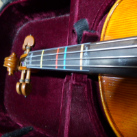 <p>Violin made completely from solid European tonewoods</p><p>Solid European spruce top</p><p>Back and sides made of solid European maple</p><p>Fingerboard: Ebony</p><p>Ebony pegs</p><p>Fitted with Thomastik-Infeld Dominant strings.</p><p>Ebony chin rest</p><p>Inlaid purfling</p><p><br /></p>