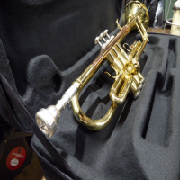 <p>Great student trumpet.</p><p>Constructed with a rose brass lead pipe for a warm, quality sound<br /><br /><br /></p><p></p>